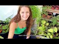I Micro-Propagated 1000 Vanilla Seeds & Grew White Orchids | Weird Nature | growithjessie