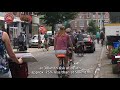 Dutch Cycling - facts and figures