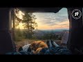 Smooth Nap Time Jazz - Soft & Calm Afternoon Music for Sleeping, Soothing, Relaxing with Dogs, Cats