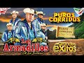 Puros Corridos Mix 🎶🎸 Los Armadillos De La Sierra 🎶🎸 Mix Para Pistear 🎶🎸 Corridos De Guitarras 🎶🎸