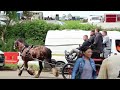 Riders Fall Off Horse Appleby Horse Fair Women and Horses on Carriage Cart Cabalgata
