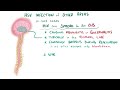 Herpes | Clinical Presentation