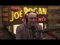 JRE MMA Show #119 with Michael Bisping