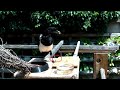 MAGPIES & ELECTRONIC FEEDER (commented version) #birds #magpie #birdwatching #iot #mqtt