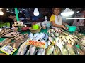 Byaheng Quezon Province | Ang sariwa ng mga isda Dito sa lucena | Ang daming prutas