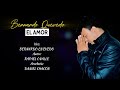 Bernardo Quevedo - El Amor (Audio Oficial)