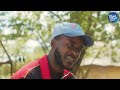Terrence Maphosa, A young farmer in Mhondoro shares his story | #IAmDigital Episode 6