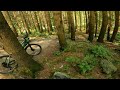 DF Olteț - Downhill Bike - Munții Parâng 102