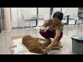 Dying Dog Bids Final Goodbye To Owner In Tears And What Happens Next Has Everyone In Tears