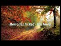 Memories In Red _ The Forest