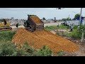 First Starting New Project.Wonderful land Fill Up By Bulldozer KOMATSU D31p Push Soil Stone to Deep