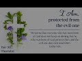 LENT DAY 38: I Am Protected