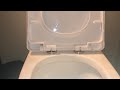 How to remove OVE toilet seat