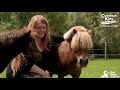 Neglected Pony Hooves Were So Long He Couldn't Walk | The Dodo: Comeback Kids S01E03