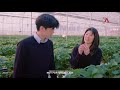 Korea's Smart farm technology is at the highest level in the world! (sub ENG)