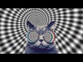 Trippy Cat 2017 MINIMAL HOUSE ELECTRO [ 2017 Minimal After Megamix ]