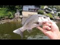 Hawkesbury River Fishing Tips.(Bar Island)