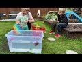 Sink or Float with Teddy | Science Experiment for kids | Adventures with Teddy