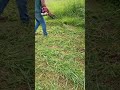 Grass Trimming 🫨 #grass #lawn #youtube     3