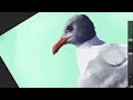 Speedpaint: drippy Gull