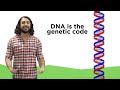 Transcription and Translation: From DNA to Protein