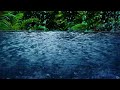 Heavy Rain White Noise on Tropical Pond | Water & Rain Sounds for Sleeping