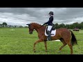 OUR HARDEST XC TRACK YET! – Little Downham Novice with Donut – Eventing Vlog