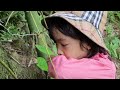 Poor girl Linh Dan went to the forest to find bamboo shoots to sell and make stuffed bamboo shoots
