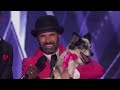 America's Got Talent WINNERS Adrian Stoica & Hurricane  - Then and Now!
