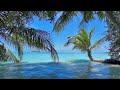 Ocean Waves White Noise | Sleep, Study, Insomnia Relief | Beach Sounds 1 Hours