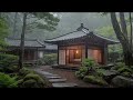 Fast fall asleep with pure nature rain and thunder sounds - Soothing tropical forest atmosphere