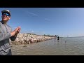 Fishing for BLACK DRUM Packery Channel Bridge (Corpus Christi, Tx)