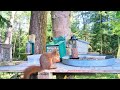 Daily life of red squirrels  | Relaxing video | Cat TV 🐿️🌰🩵🍃🌿