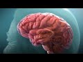 Mechanism of Alzheimer's Disease