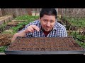 How To Start Vegetable Seeds - The Definitive Guide For Beginners