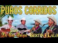Corridos y Rancheras __ Dueto Bertin y Lalo, Dueto Los Dos Amigos Mix Exitos __ Mix Para Pistear