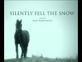 Silently fell the snow | Trailer