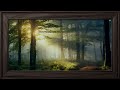 4K TV screensaver without sound - Sun rays in the forest