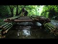 Full video 300 days Solo Bushcraft. Living and bushwalking in the rainforest, Survive alone.