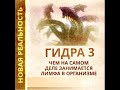 Гидра 3. Чем занимается лимфа в организме