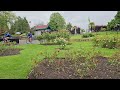 Rose Garden at Stoke Park Guildford - Surrey nr Cafe & Boating Lake