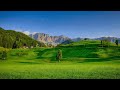Ambient Nature Sounds • Outdoor Summer Ambience for Studying, Sleeping and Relaxing [BMA] 🌻🌴 🌞
