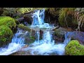 4K HDR Spectacular waterfall flowing in mountain forest  Relaxing waterfall sounds.