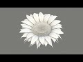 Nomad Sculpt Tutorial／ How To Make a Sunflower on iPad Pro.