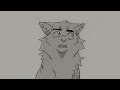 💬 Our Word 💬 Hollyleaf animatic