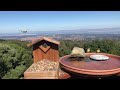 Bird feeder in the Santa Cruz Mountains