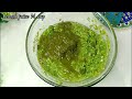 Chatpat Hari Chatni | Hari Mirch Pudina Lahsun Chatni | Chili Garlic Mint Sauce | Chutney | Chatni