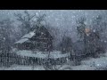 Freezing Wind Storm & Heavy Blizzard Sounds for Sleeping - Loud Blowing Snow & Frosty Wind Ambience