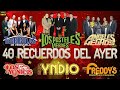 40 RECUERDOS DEL AYER 🤠FREDDYS, TERRICOLAS, YNDIO,YONICS, ANGELES NEGROS, PASTELES VERDES,SOLITARIOS