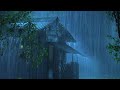Sleep Very Well on Rainy Night | Heavy Rainstorm & Mighty Thunder on Farmhouse | Nature White Noise